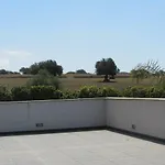 La Di Gatto Corvino *